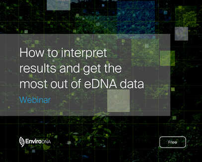 Part 2: How to interpret results and get the most out of eDNA data
