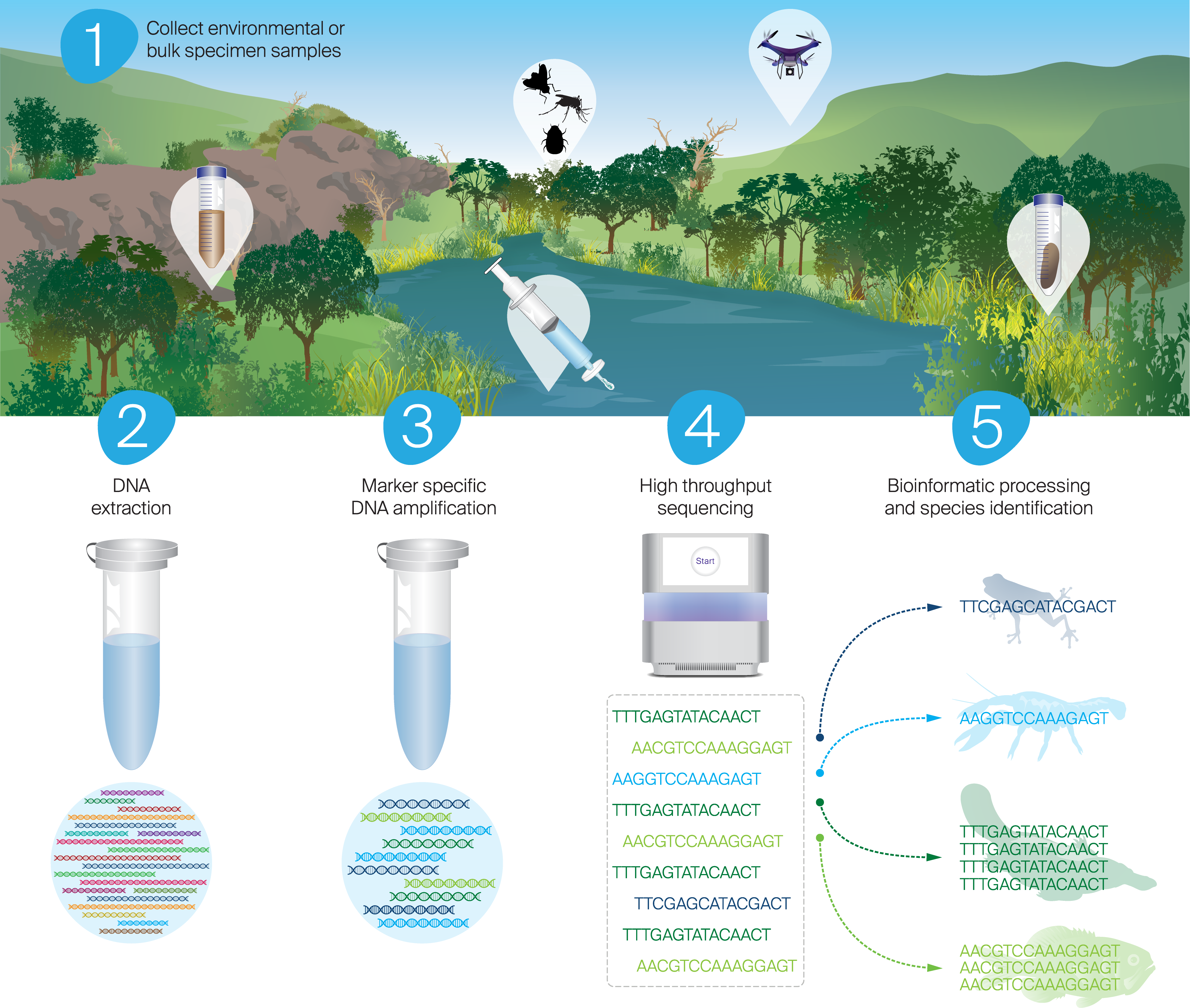 Biodiversity Assessments